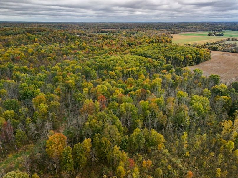 Wayne_29.09_BD_LandParcel_14