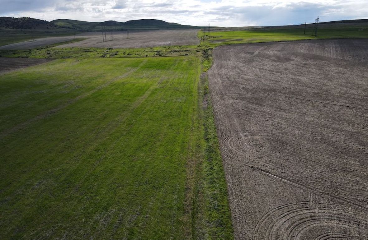 dji_fly_20240515_093738_445_1715787503915_photo