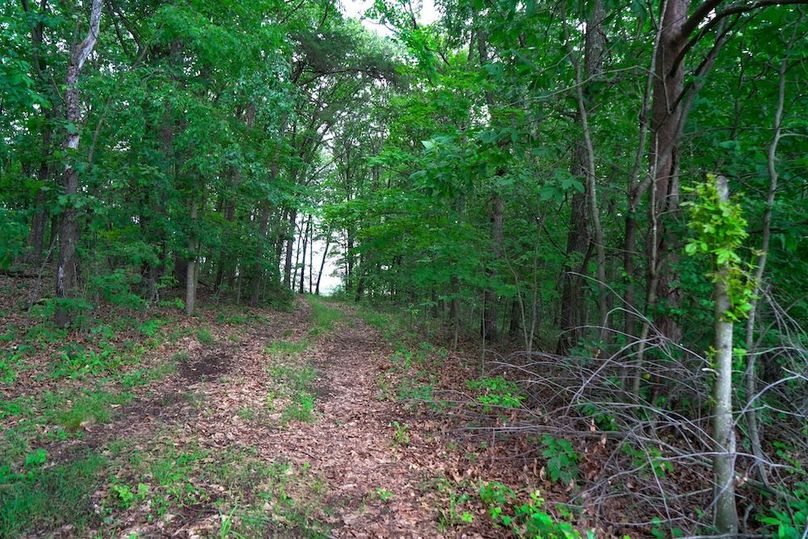 Bedford,121,Beegle-39