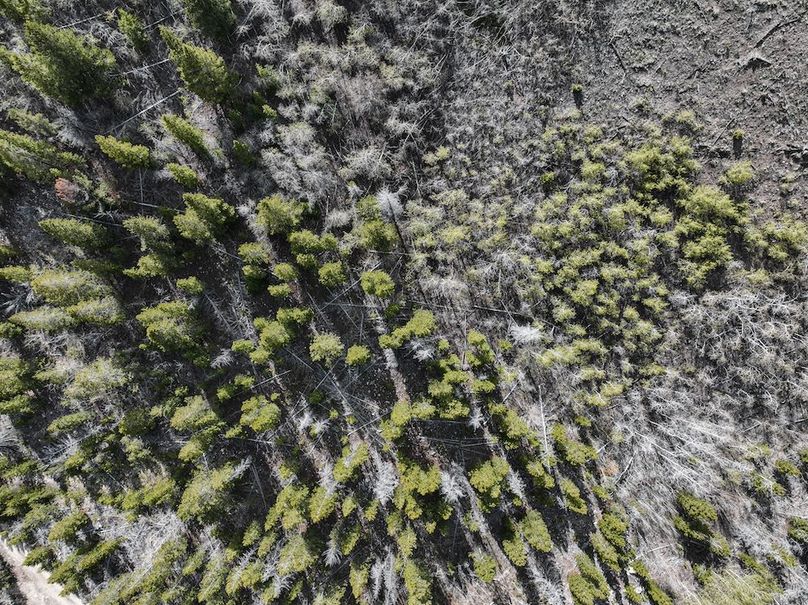 DJI_0230