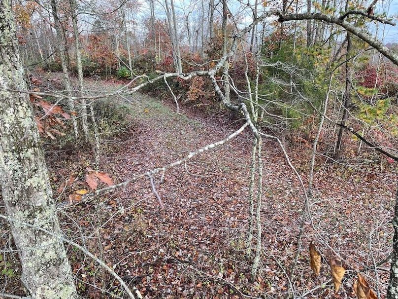 Carter Gordon 70 +_- 008