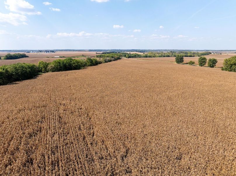 Copy of Whiteside 181_26