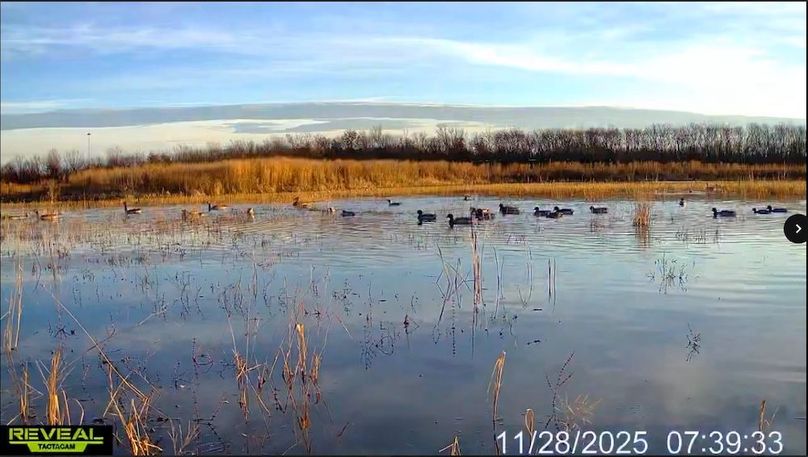 Screenshot_24-1-2026_918_drive.google.com