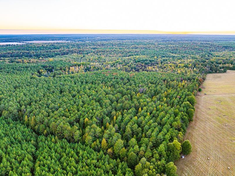 Clay 302.7 Henderson-54