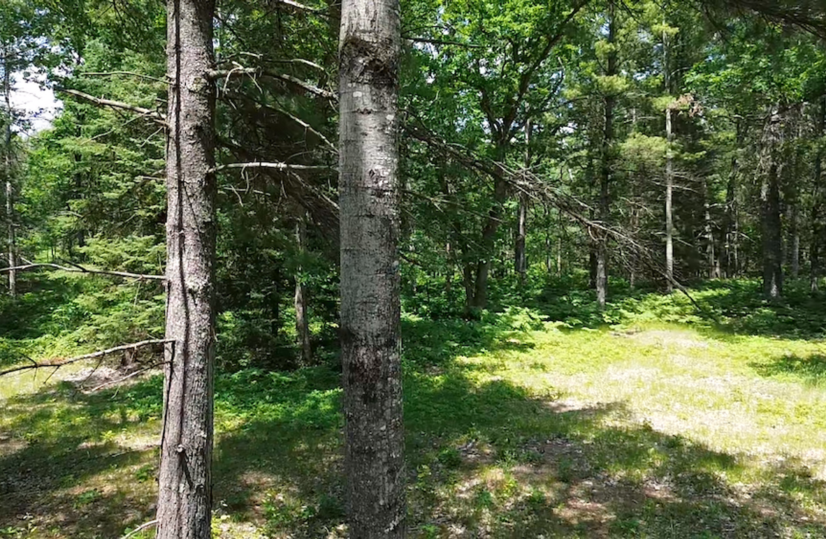 2024-06-17-13-48-34-071