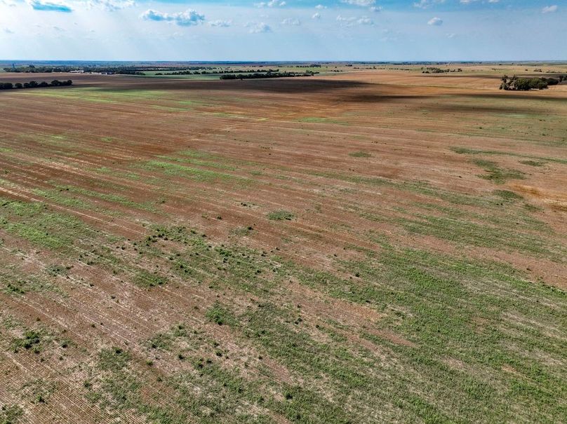 Mitchell Ks, 166.78_006