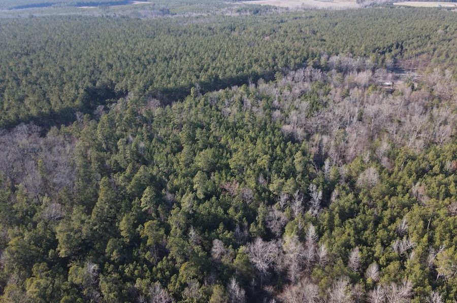 DJI_0293