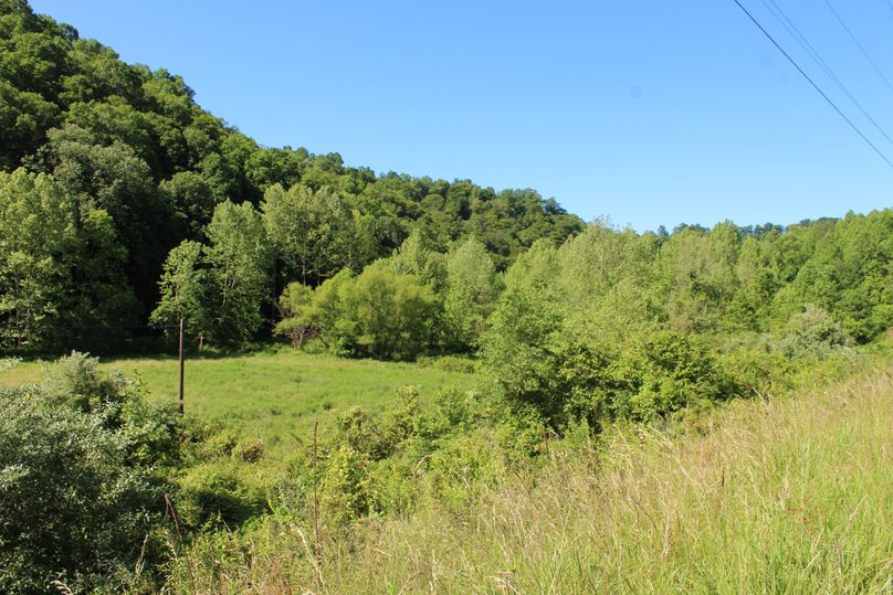 021 view from KY 399 looking over the 2 acre section that lies on the west side of the creek