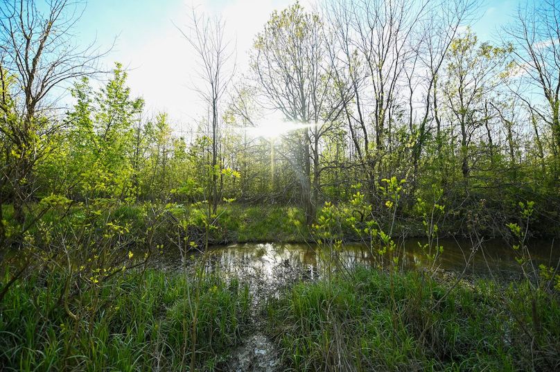 vandalia 450 (2)-3007