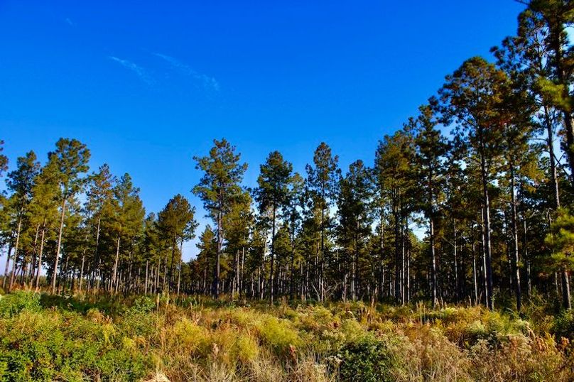 3721824A-EFFE-4C9B-8851-485A62B6F9A6_1_201_a