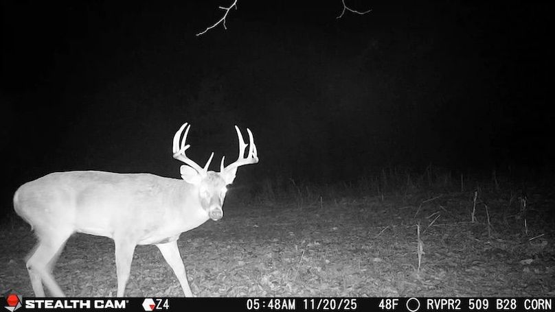 2025112005480501003877_ColorizationType.none