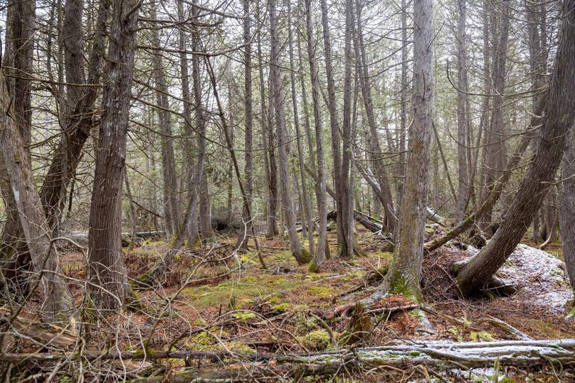 Mackinac 31.5 Noteboom-1698