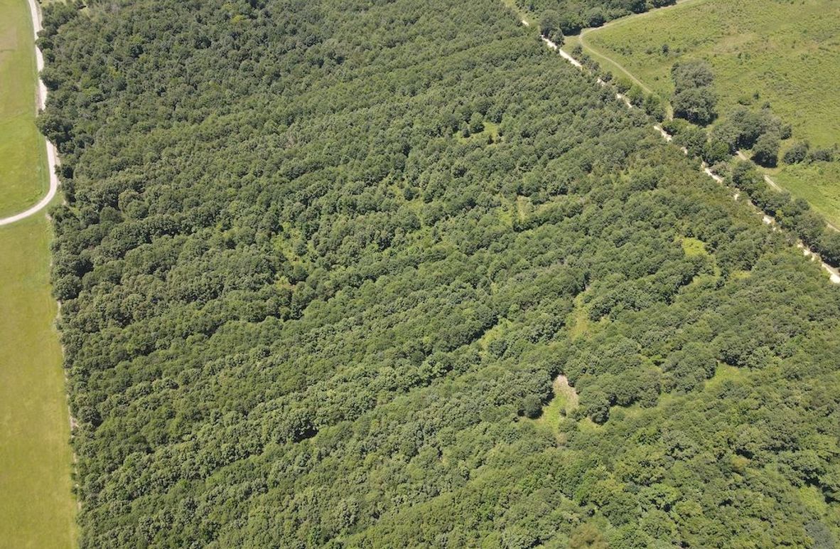 dji_fly_20240730_133710_228_1722364752218_photo