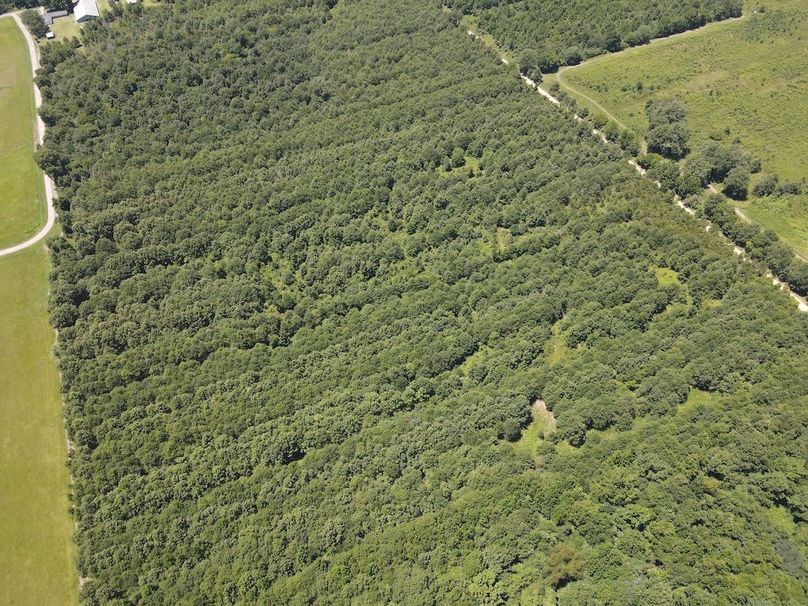 dji_fly_20240730_133710_228_1722364752218_photo