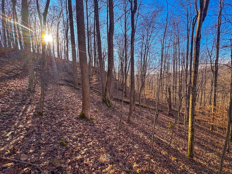 Lewis, WV 82.87 AC Barger-46