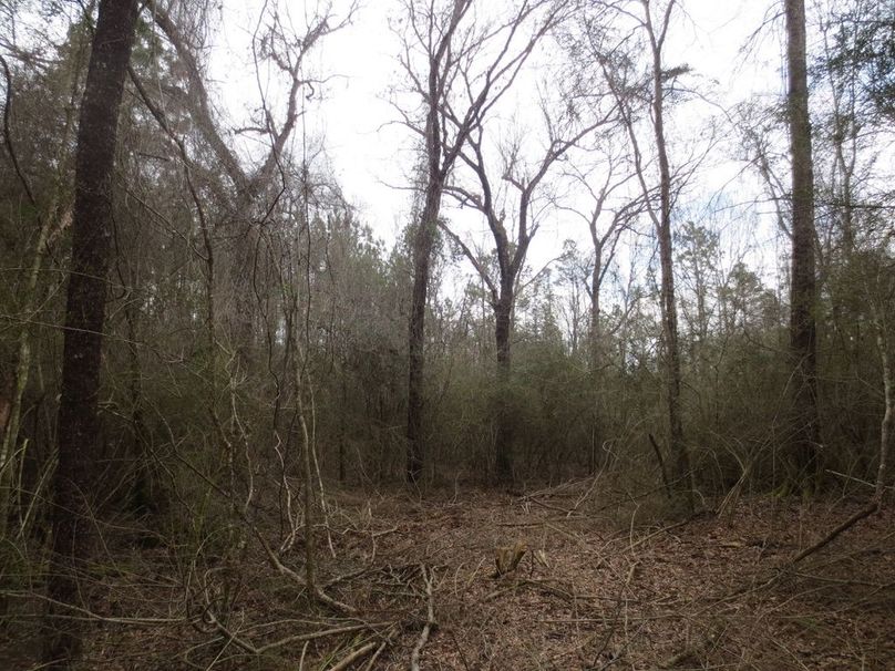 C19CE915-4F56-43FD-8F87-70D80EDDDD03_1_105_c