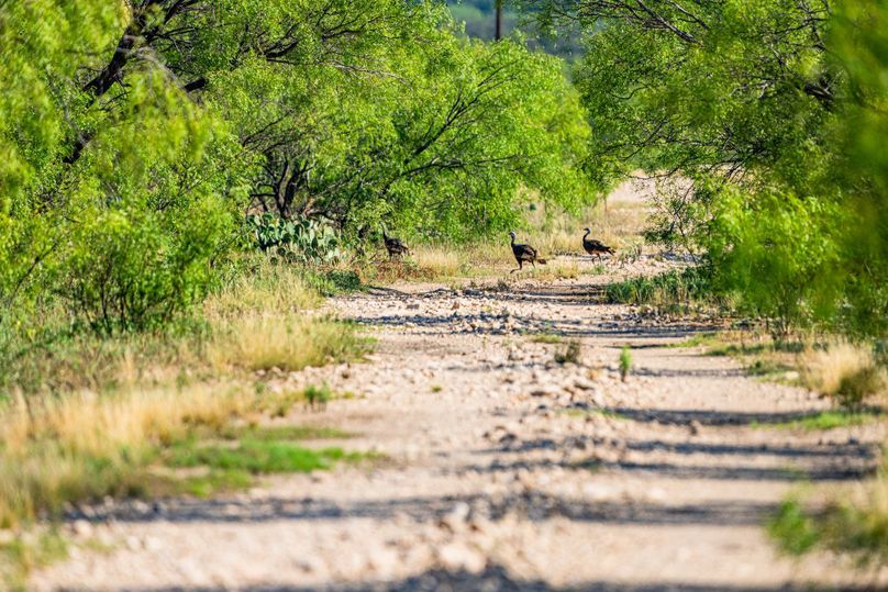 22-web-or-mls-DSC08506