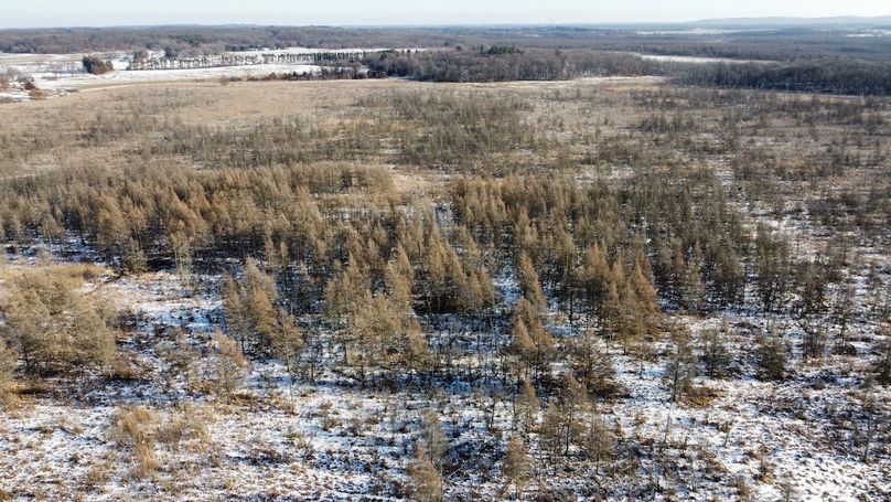 dji_fly_20240131_144724_902_1706897226884_photo_optimized