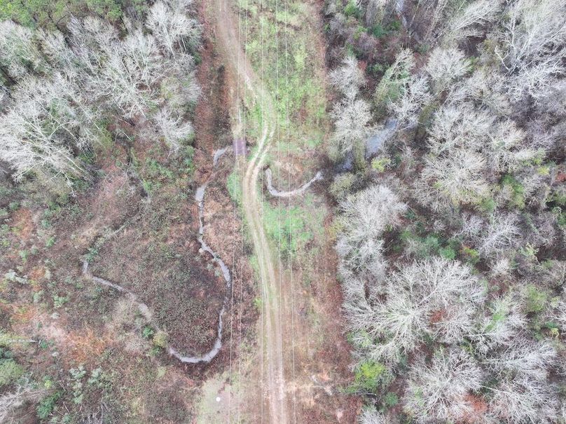 dji_fly_20260122_091026_0840_1769444819092_photo