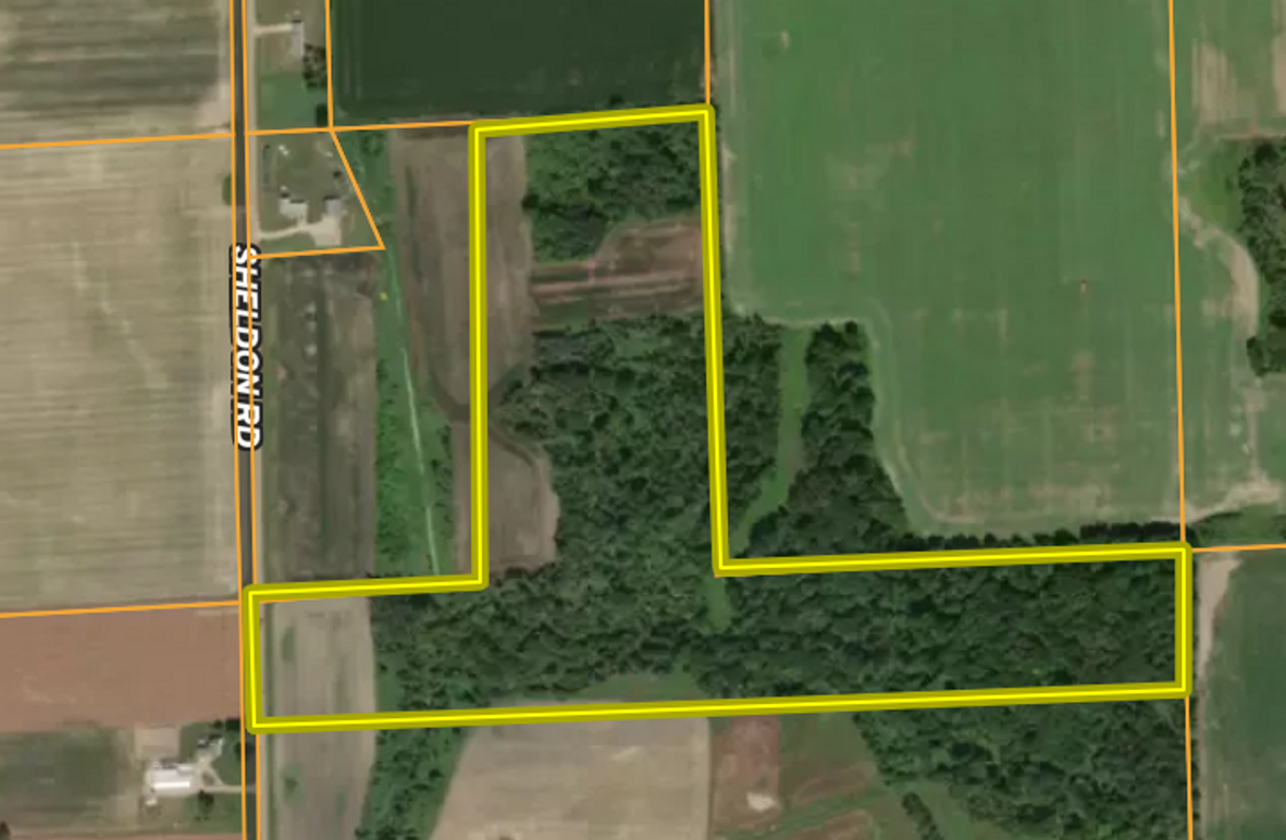 Screen Shot 2025-10-09 at 3.14.25 PM