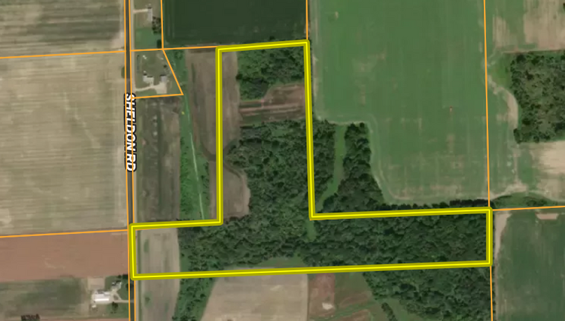 Screen Shot 2025-10-09 at 3.14.25 PM