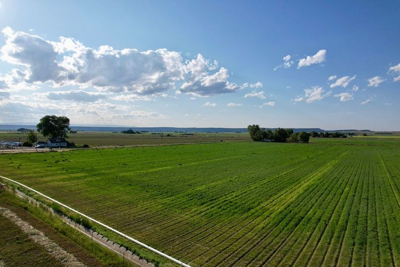 94F14F36-0B15-4069-9478-78F865CFBA0C_1_201_a