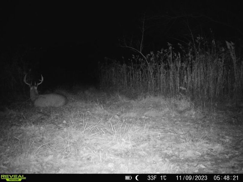 860322065128164-1-3-11092023054820-V-W1005508