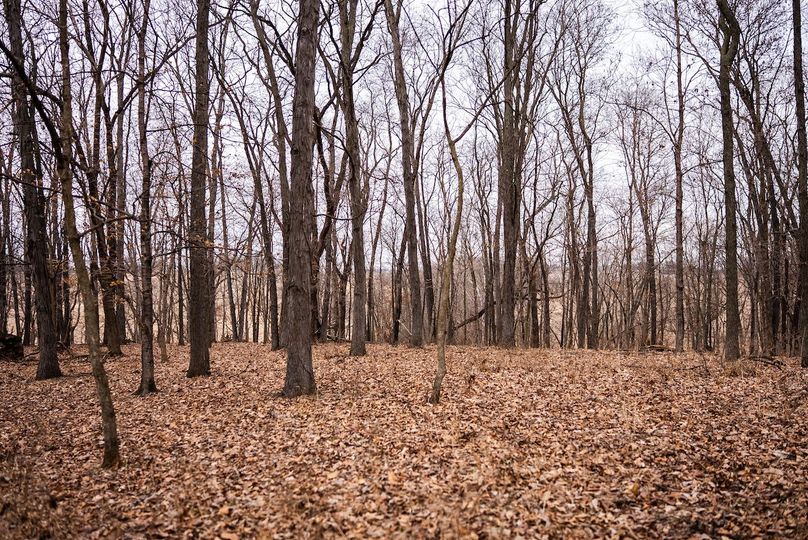 Pike IL 96.87 Adv Pro Photo-53