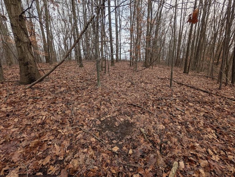 PXL_20260107_180551816