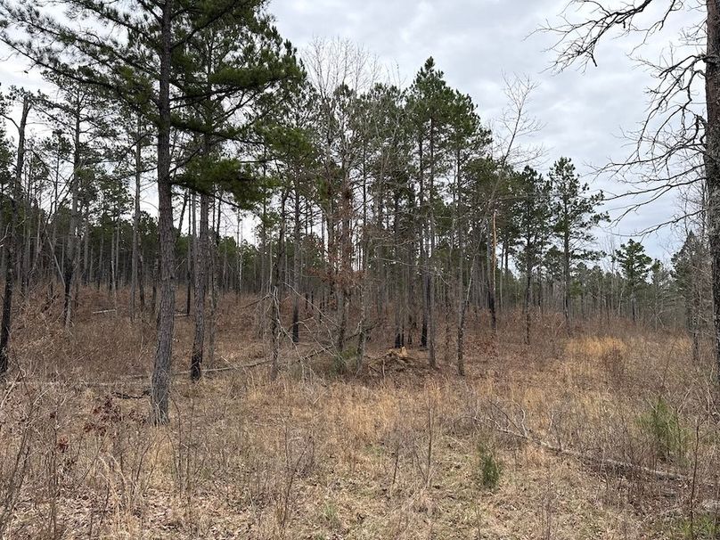 DJI_20260324_104624_919