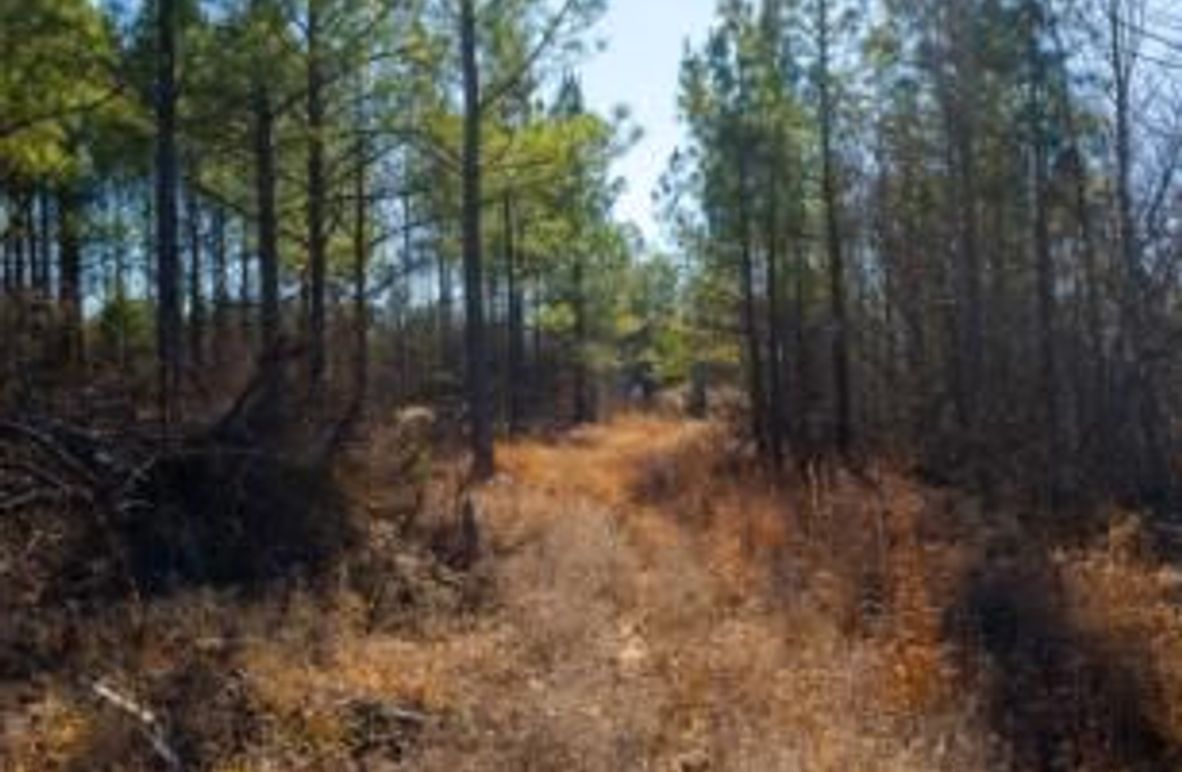 MCKINNON TRACT 29-02