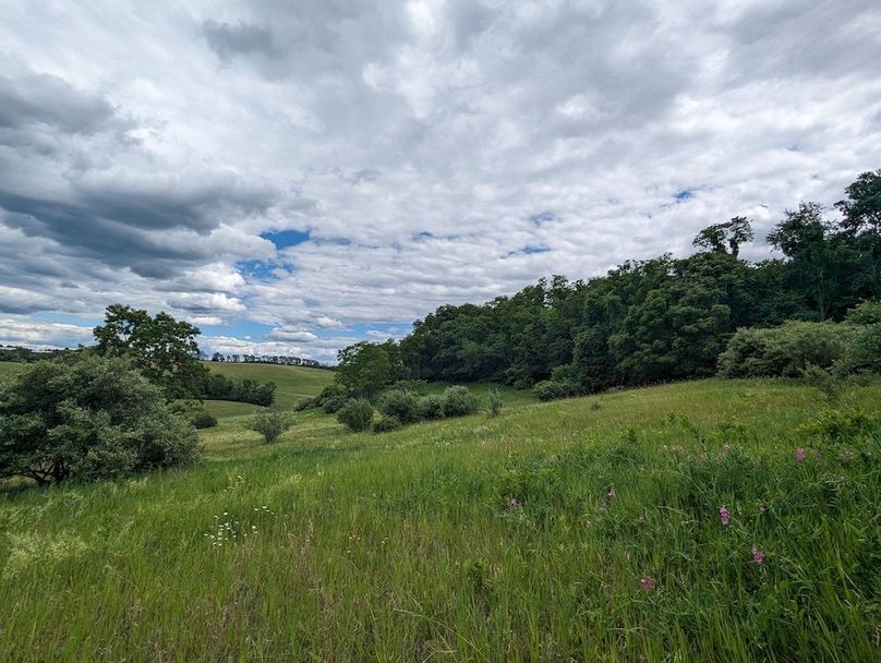 PXL_20240607_191035388