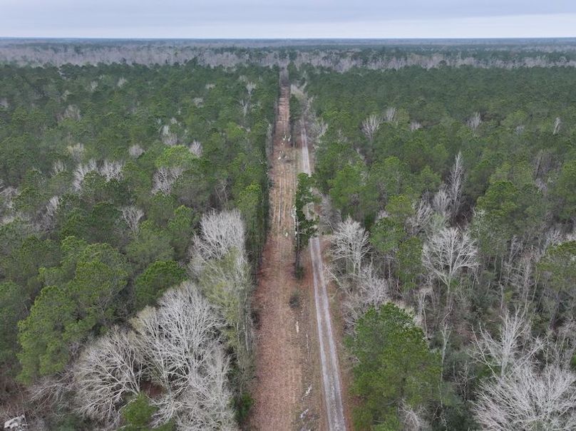 dji_fly_20260123_105414_0900_1769444794306_photo