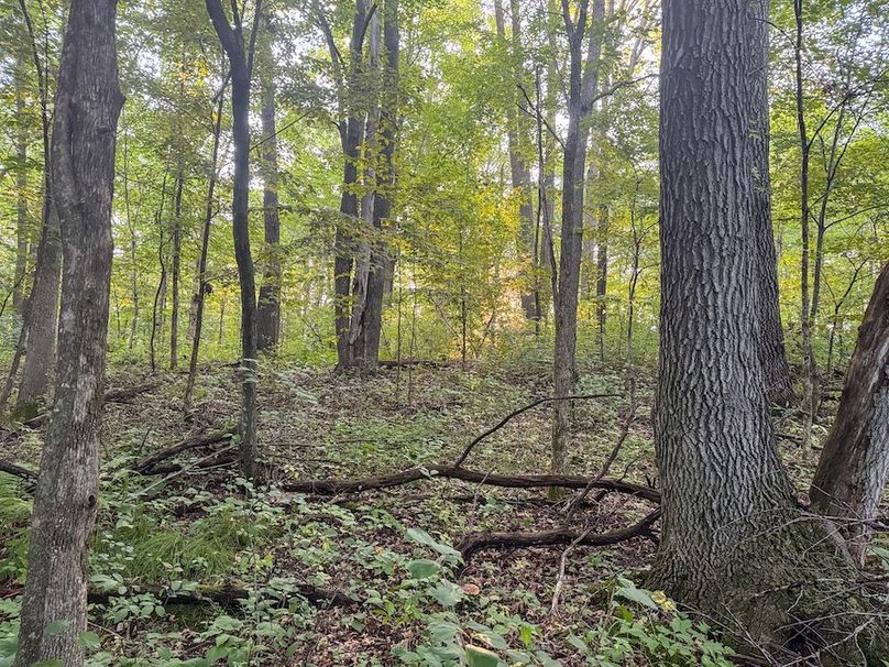 Pantzke Ground Photos-14