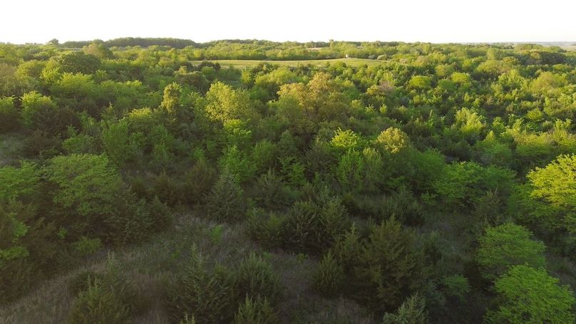 PAGE CO IA 130+_-_50