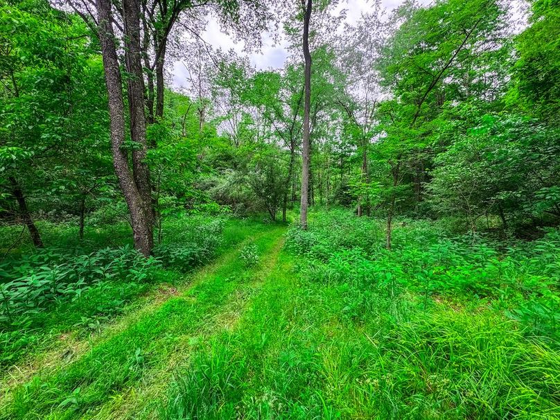 Tyler, WV 313.87 AC -39