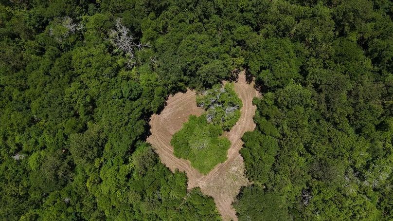 DJI_20240516124349_0020_D