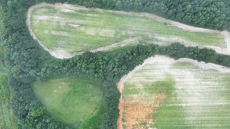 DJI_20250715002932_0164_D