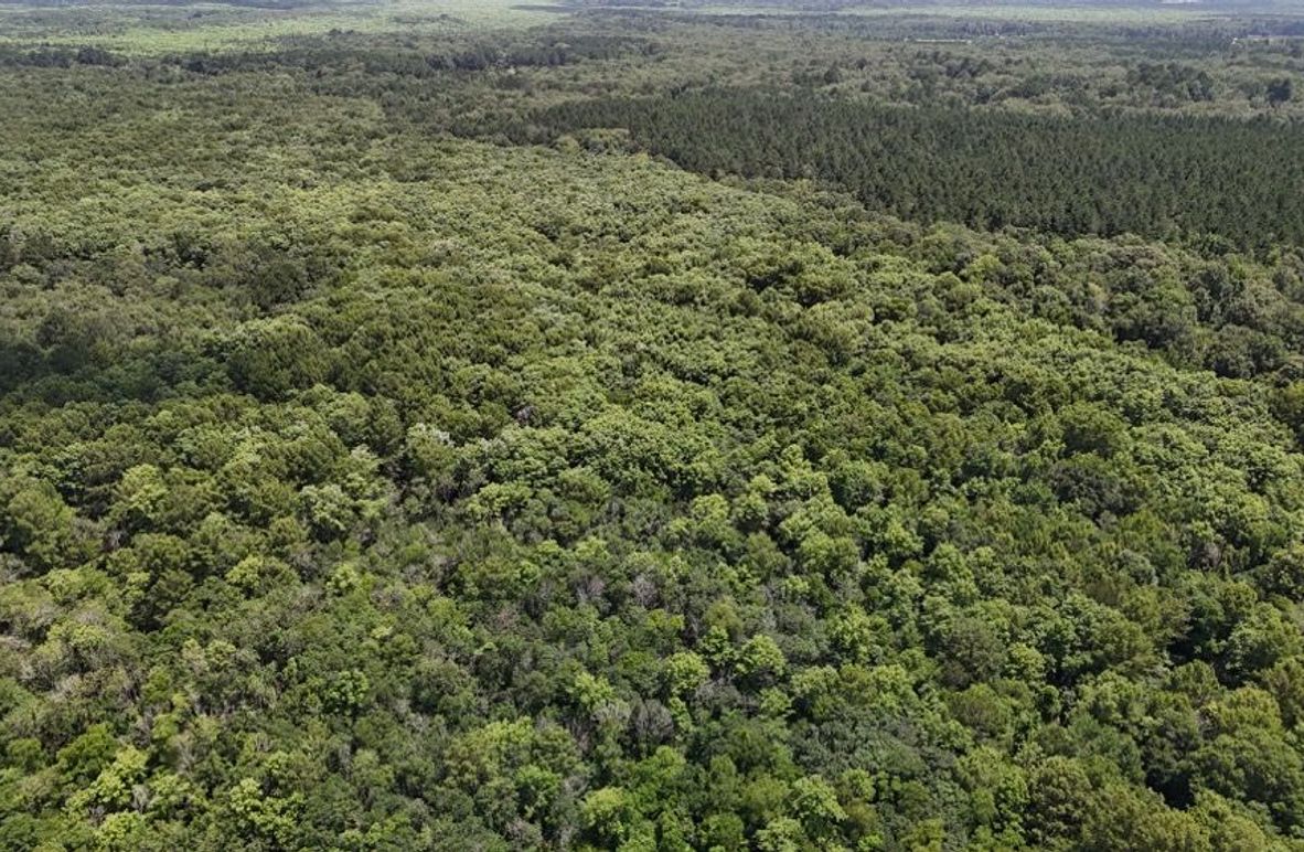 DJI_20250620032132_0640_D