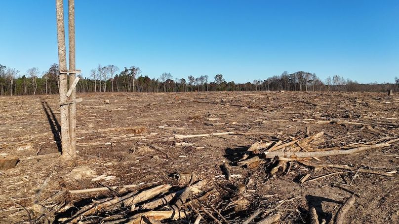 dji_fly_20251114_083224_0988_1763127661986_photo