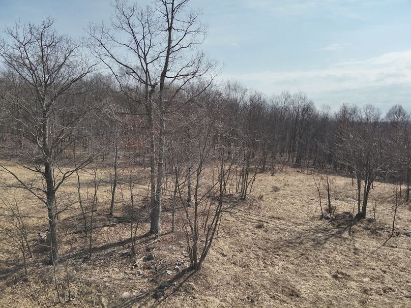 DJI_20250304114445_0002_V