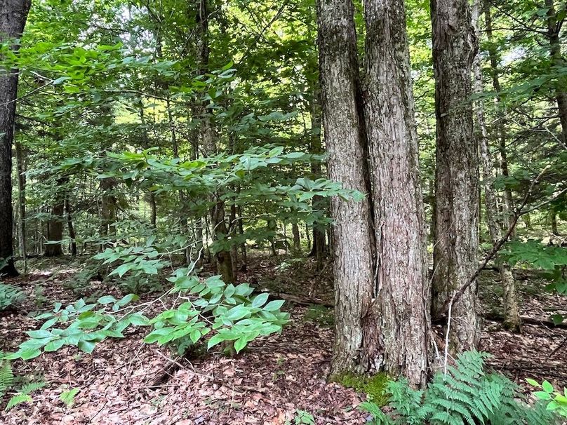 Oswego_133.72_Middleton_Photos_43