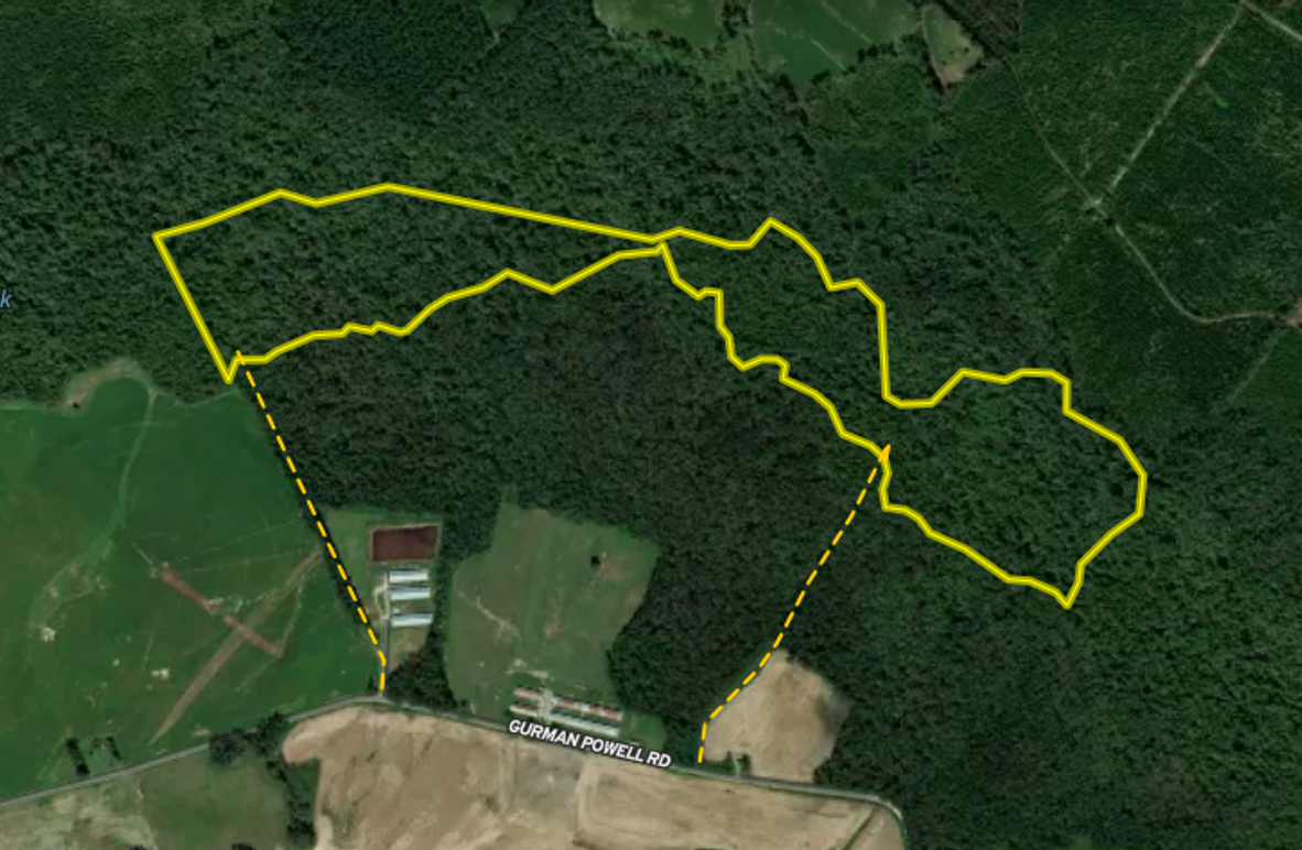 Screenshot 2025-11-22 at 3.52.59 AM