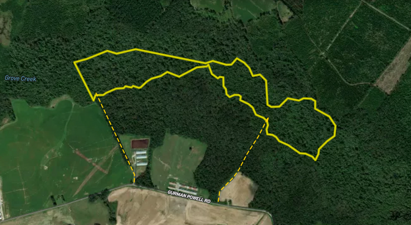 Screenshot 2025-11-22 at 3.52.59 AM