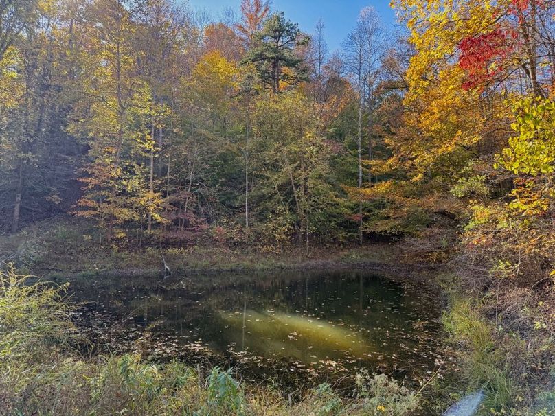 013 another great shot of the pond during the fall-2