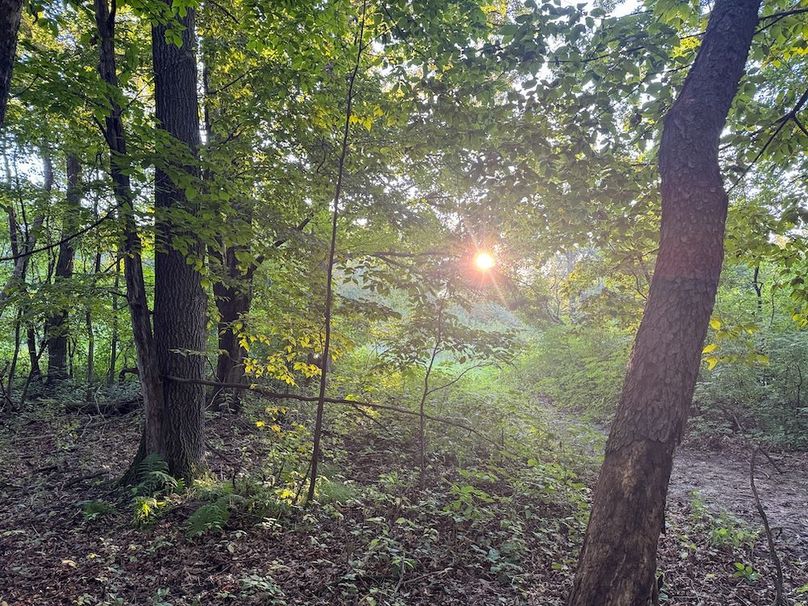 Pantzke Ground Photos-07