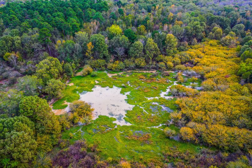 11 Upshur Co 603 ac Weise(1)