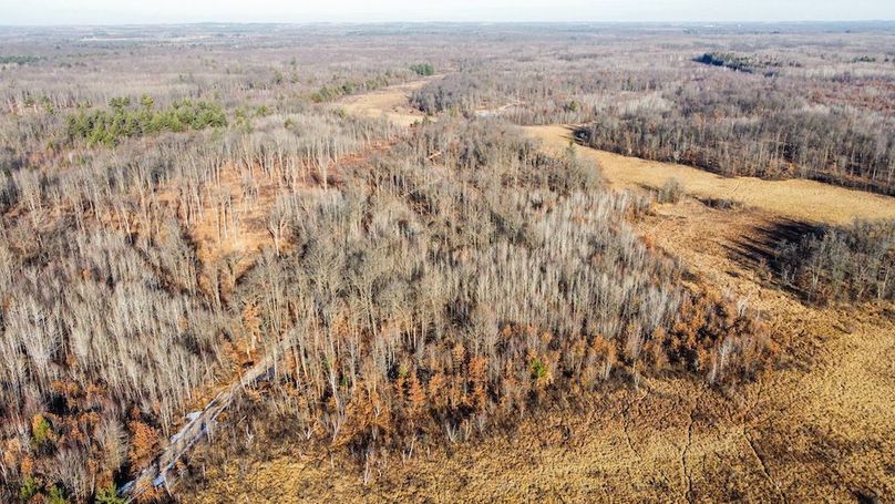 ClarK 160 WILLIAMS -30