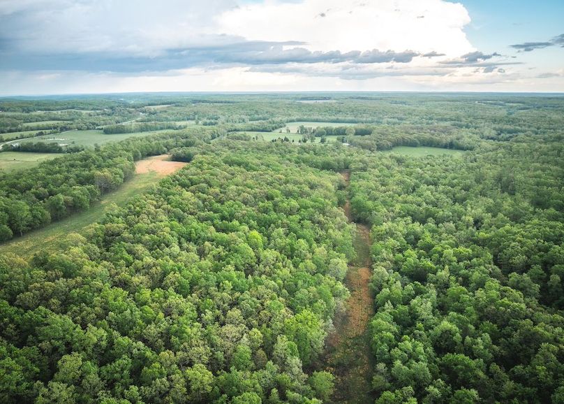 DJI_20250501182503_0342_D