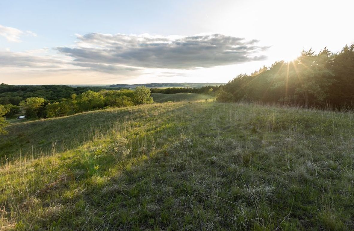 MONONA COI IA 120+_-_1